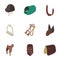 Equestrian icons set, isometric style