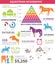 Equestrian infographic