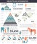 Equestrian infographic