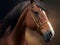 Equestrian Majesty: Mesmerizing Horse Art Print for Purchase