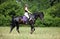 Equestrian model girl riding sportive dressage horse in summer fields