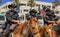 Equestrian police officers from Huntington Beach and Santa Ana Police Departments in front of the Huntington Beach Pier