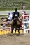 Equestrian show - horse stop at hurdle