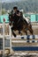 Equestrian show jumpers practice at Jefferson County fairgrounds