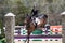 Equestrian Show Jumping