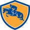 Equestrian Show Jumping Side Shield Retro