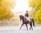 Equestrian sport event at fall with copy space