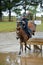 Equestrian sport - Eventing