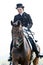 Equestrian sport. female dressage rider