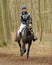 Equestrian sport,galloping horse