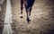 Equestrian sport. Hooves with horseshoes of a running horse. The legs of a dressage horse galloping, rear view. The leg of the