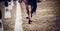 Equestrian sport. Hooves with horseshoes of a running horse. The legs of a dressage horse galloping, rear view. The leg of the