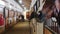 Equestrian sport - horses standing in the stalls and a woman taking care of them