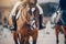 Equestrian sport. Portrait sports brown stallion in the bridle. The leg of the rider in the stirrup, riding on a red horse