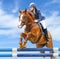 Equestrian sport: show jumping