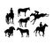 Equestrian Sports Silhouettes