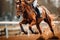 Equestrian thrill Dynamic horse racing and exhilarating horseback riding