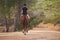 Equestrian, trail and riding a horse in nature on adventure and journey in countryside. Ranch, animal and back of rider