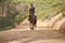 Equestrian, trail and riding a horse in nature on adventure and journey in countryside. Ranch, animal and rider outdoor