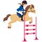 Equestrian Woman Jumping Horse