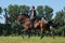 Equestrian woman riding horse in summer nature