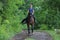 Equestrian woman riding horse in summer nature