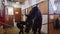 Equestrian - young woman cleaning a brown horse with a brush in the stall