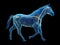 the equine anatomy - the nervous system