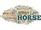 Equine Health Five Tips For A Healthy Horse Text Background Word Cloud Concept
