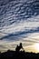 Equine horse sculpture silhouette on a blue cloudy sky