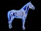 The equine skeletal system