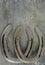 Equine them with old, worn horseshoes on a scratched and damaged steel background. Lots of texture with copy space.