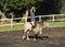 Equine therapy girl on horse