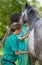 Equine veterinary