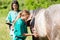 Equine veterinary