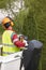 Equiped worker pruning a tree on a crane. Gardening