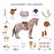 Equipment for Horses Set, Horse Riding Essentials and Grooming Tools Vector Illustration