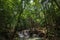 Erawan National Park is home to one of the most popular falls in the thailand.fifth level of Erawan waterfall â€œBuea Mai Long