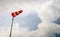 Erect red and white windsock on a pole