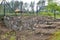 Erecting a field stones wall using wooden formwork