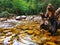 Eresma river with a strange shaped trunk of a fallen tree