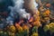 erial view of a forest fire, showcasing the scale and intensity of the blaze. Generative AI