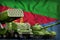 Eritrea heavy military armored vehicles concept on the national flag background. 3d Illustration