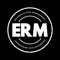 ERM Enterprise Risk Management - methods and processes used by organizations to manage risks and seize opportunities, acronym text