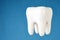 ermet ceramic tooth model on blue