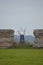 erney Arms Windmill