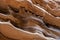 Eroded Ancient Sandstone Layers at Zion National Park