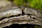 Eroded asbestos cement sheet