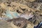 Eroded Badlands At Death Valley