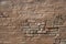 Eroded Brick Wall Texture